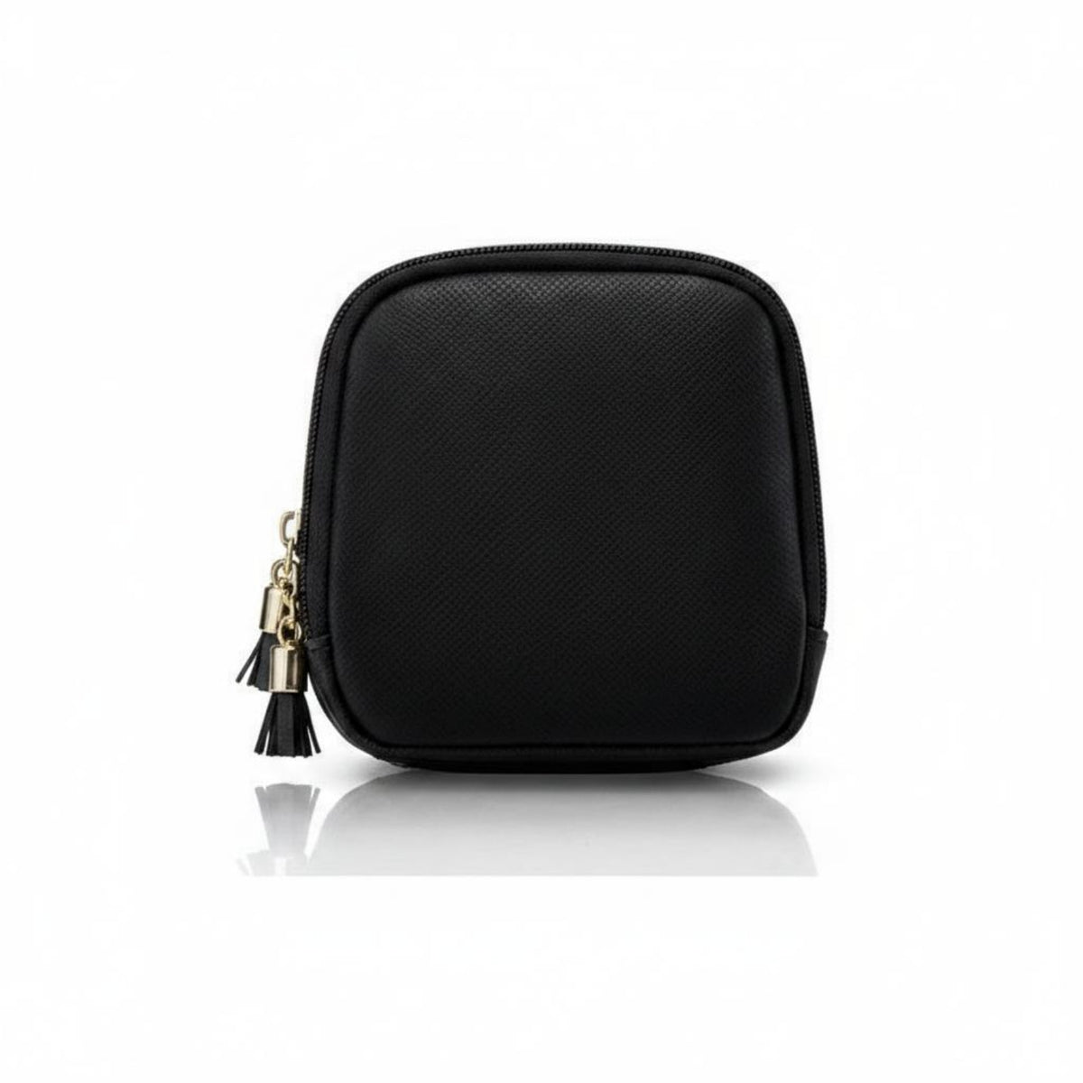 Double-Layer Jewelry Case Padded Travel Jewelry Organizer Compartmented