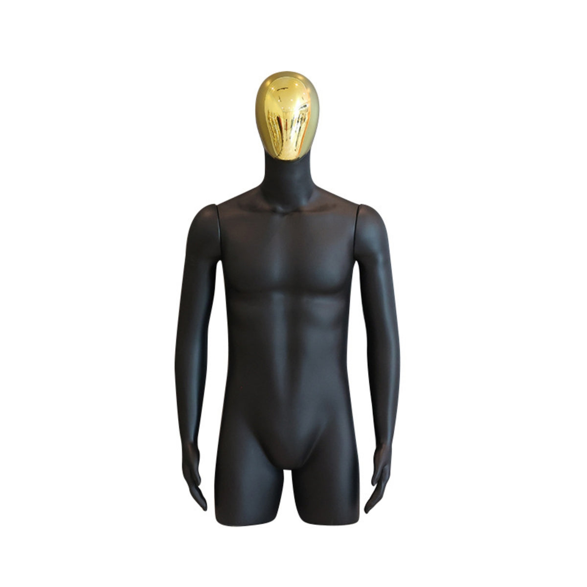 Male Mannequin with Arms Half-Body Mannequin Realistic Display Form for Photographers