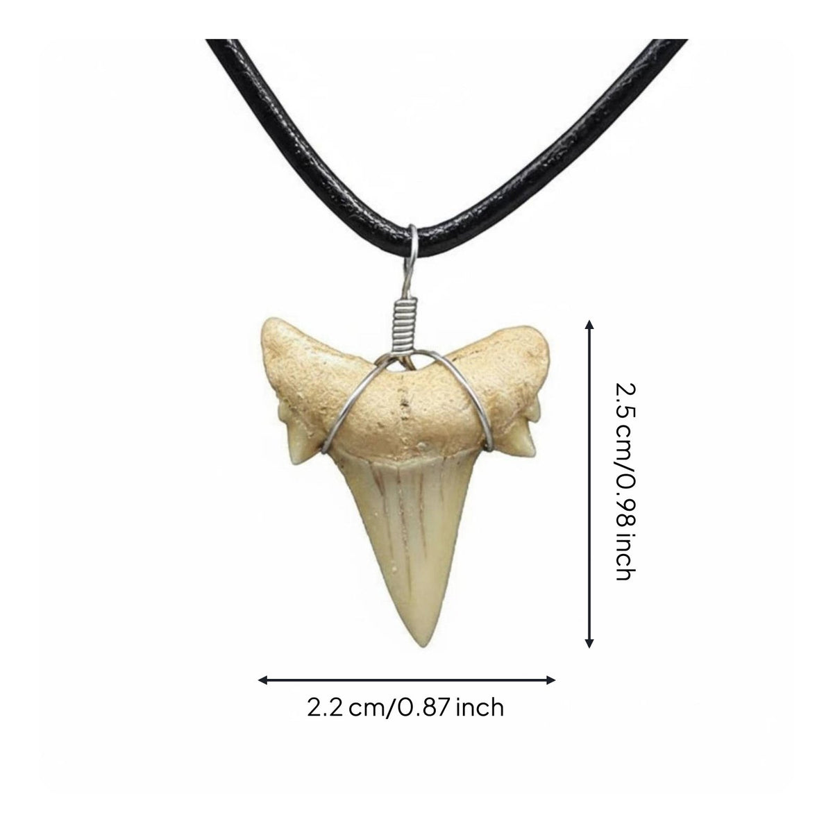 Prehistoric Tooth Jewelry Piece Beachy Aesthetic Tooth Necklace for Summer