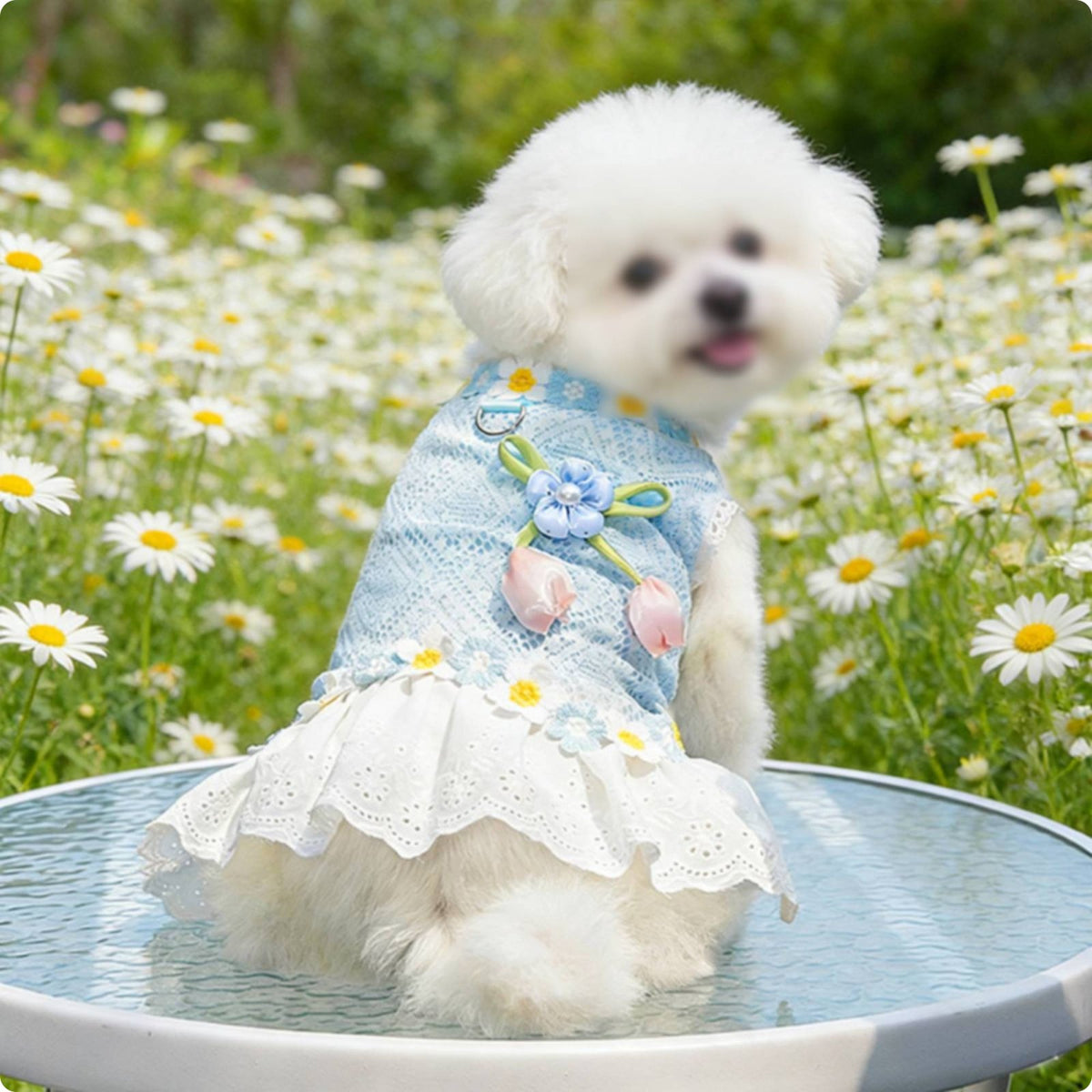 Lace Dog Dress Lightweight Airy Pet Garment Dress Breathable for Summer