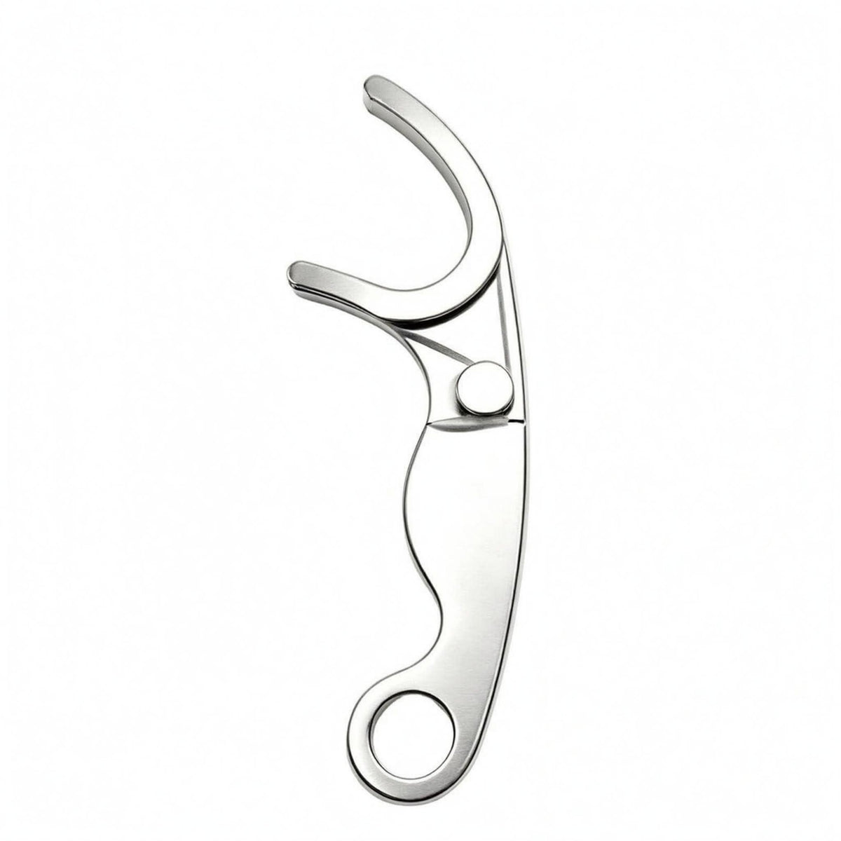 Stainless Steel Floss Pick Reusable Silver Finish