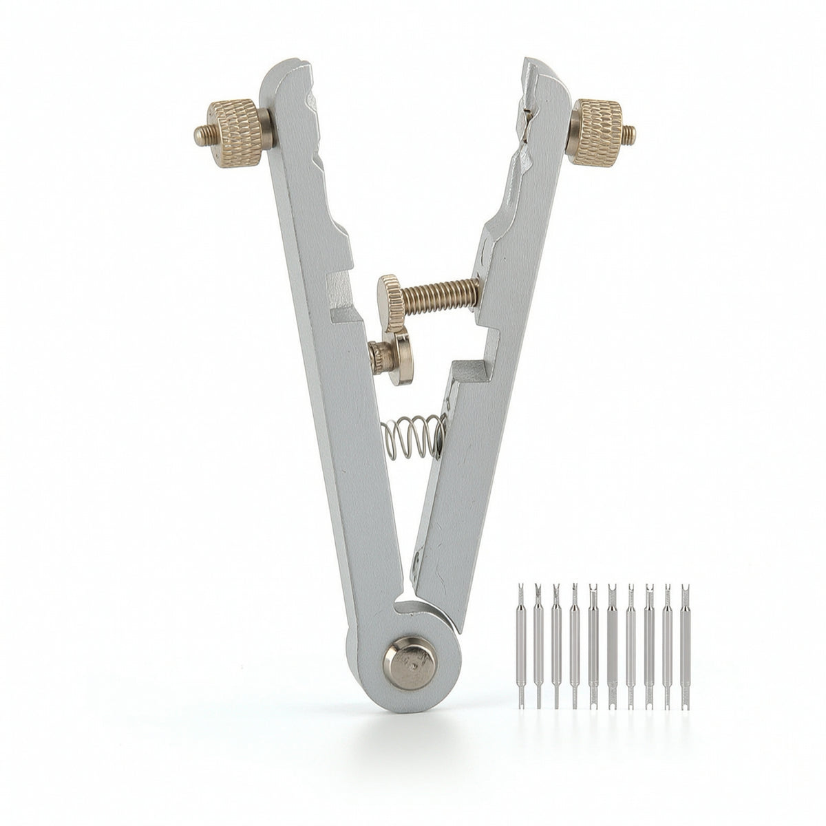 Watch Band with Interchangeable Tips Adjustable Spring Bar