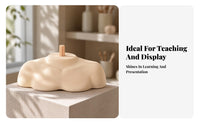 Display Shoulder Support Form Hair Mannequin Shoulder Support PVC Material