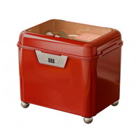 Jewelry Lock Box Compact Lockbox Included