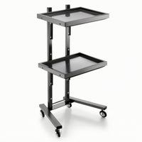 2-Tier Salon Trolley Mobile Beauty Trolley Strong Salon Tray Cart for Home Styling Stations