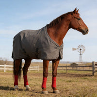 Winter Horse Blanket Thick Insulated Horse Turnout Blanket Cold Weather Protection Animal Gear for Equestrians, Stable