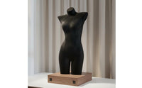 Lingerie Display Form Curvy Design Female Torso Mannequin Female Mannequin Torso Lightweight Adjustable Dress Form