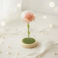 Carnation in Glass Dome Romantic Gift LED Flower Night Light Warm Radiance