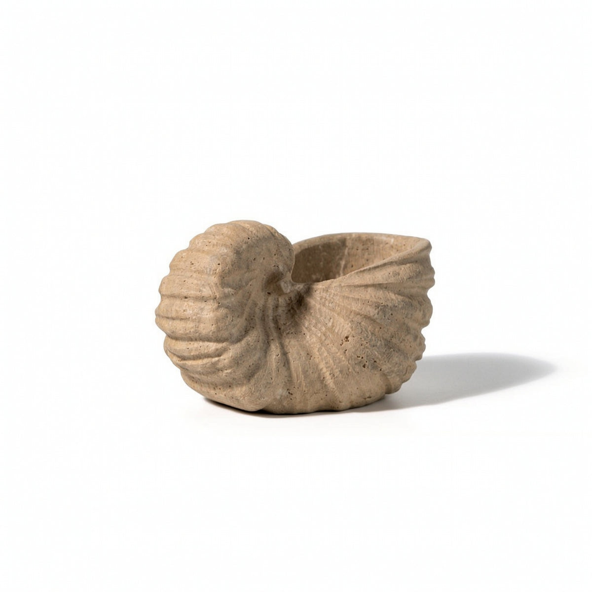 Mineral Conch with Hollow Top Textured Beach Conch Statue Coastal Figurine for Coffee Table