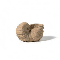 Mineral Conch with Hollow Top Textured Beach Conch Statue Coastal Figurine for Coffee Table