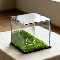 Mirror Back Display Case Multi-Angle Reflection Mirrored Display Box for Desk