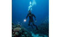 Heat Retention Split Wetsuit Flexible Thermal Wetsuit Stretchy Fit Thermal Diving Suit Breathable Cell Lining for Professionals, Freediving, Snorkeling, Surfing