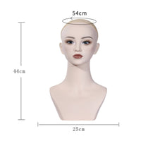 PVC Half Head Bust Easy to Arrange Hairpiece Display Head for Photo