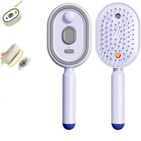 Oval Steam Hair Brush Type-C Charging Cushioned Massage Comb Handheld