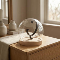 Single Watch Showcase Lightweight Watch Dome Display Modern and Minimalist