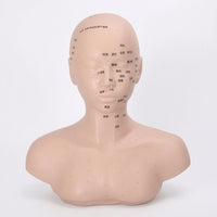 PVC Mannequin Head with Shoulders Soft Acupoint Training Model Multi-Function