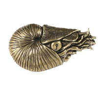 Ammonite Form Sculpture Brass-Toned Ammonite Form Ornament Textured Spiral Conch Figurine for Bookshelf, Tea Table