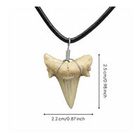 Prehistoric Tooth Jewelry Piece Beachy Aesthetic Tooth Necklace for Summer