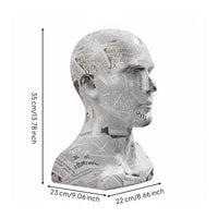 With Ear Holes Realistic Mannequin Head Multi-Purpose Hairpiece Holder Head Stable Base for Retailers, Photographers, Trade Exhibition