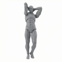 Figure Drawing Model Movable Joints Display Toy Polished Molded Finish