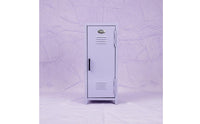 Cosmetic Storage Cabinet Compact Size Mini Metal Locker Decorative for Dorm Room
