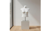 Size Female Mannequin Realistic Body Shape Female Torso Mannequin Glossy Finish Neckless Clothing Figure for Shop Window