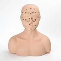 PVC Mannequin Head with Shoulders Soft Acupoint Training Model Multi-Function