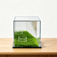 Mirror Back Display Case Multi-Angle Reflection Mirrored Display Box for Desk