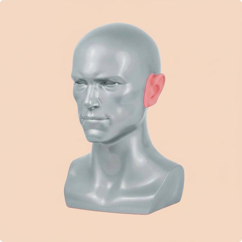 Hat Display Head Detachable Ears Hairpiece Stand Head