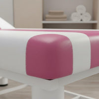 Beauty Treatment Bed Foldable Folding Massage Bed Upholstered Exam Couch Thick Padded Cushion Massage Couch Easy to Clean