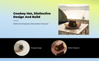 Cowboy Hat, Wide Brim, Sun Protection, Outdoor, Unisex