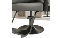 Adjustable Height Hydraulic Barber Chair Light Luxury Design Swivel Hair Cutting Chair Easy to Clean Ergonomic Design for Hairstylists, Barbers, Beauty Parlor