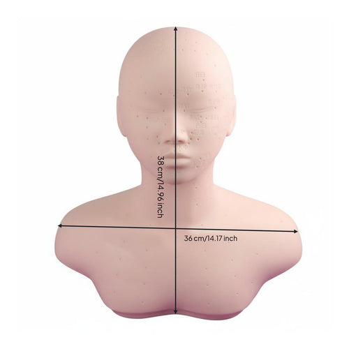 Realistic Skin Feel Acupressure Point Practice Model Soft Material Manikin Head Shoulder Bust Professional Grade for Students, Beauty School