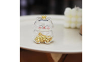 Feline Piggy Bank Transparent Glass Feline Coin Bank Crown Top