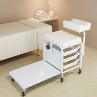Salon Rolling Workstation Basic Salon-Style Storage Effortless Cart to Mobile Beauty Cart with Tray for Beauticians