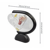 Transparent Uterus Model Educational Science Aid Clear for Medical Office