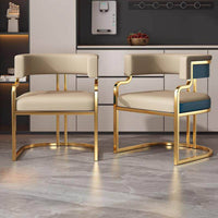 Comfortable Minimalist Salon Chair Ergonomic Design Furniture Easy to Clean for Reception Area, Negotiation Room
