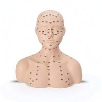 PVC Mannequin Head with Shoulders Soft Acupoint Training Model Multi-Function