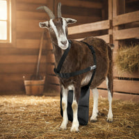 Anti-Mating Apron Long-Lasting Buck Apron Strong for Breeders, Farmers