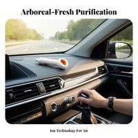 Car Portable Design Cigarette Lighter Odor Remover Air Purifying Car for Smokers, Pet Owners, Truck, RV