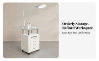 Sturdy Build Multi-Function Beauty Trolley Easy to Clean Manicure Table with Lamp Lockable Wheels Mobile Storage Heat-Resistant Surface for Nail Technicians, Hair Stylists Artists, Spa, Home Studio