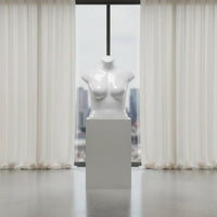 Size Female Mannequin Realistic Body Shape Female Torso Mannequin Glossy Finish Neckless Clothing Figure for Shop Window
