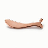 Ear Scraping Plate Smooth Scraping Massage Tool Hand-Held