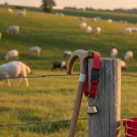 12 Pieces Goat Collar with Bell Quick Release Buckle for Farmers, Ranchers
