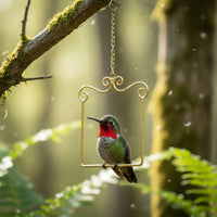 Hummingbird Perch Swing Sturdy and Long-Lasting Hummingbird Swaying Perch