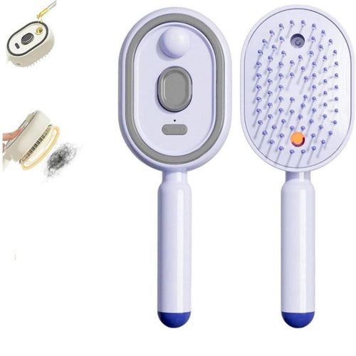 Oval Steam Hair Brush Type-C Charging Cushioned Massage Comb Handheld