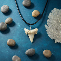 Prehistoric Tooth Jewelry Piece Beachy Aesthetic Tooth Necklace for Summer