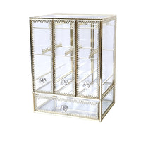 Jewelry Organizer with Hanging Rods Clear for Vanity, Dresser