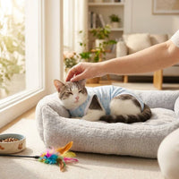 Female Feline Recovery Suit Heart Print Post-Surgery Feline Suit E-Collar