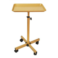 Height Adjustable Salon Tray Stable Base Mobile Beauty Trolley Tray Easy to Clean for Barbershop